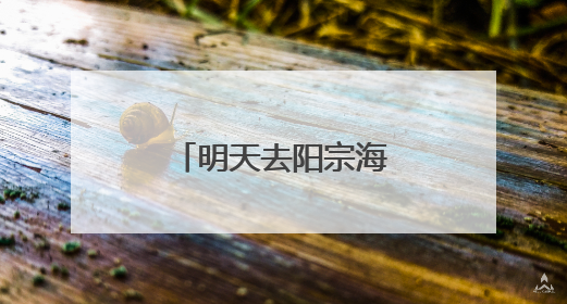 明天去阳宗海比赛吃杨梅