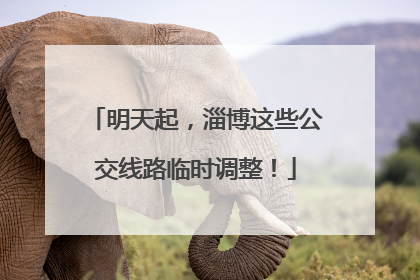 明天起，淄博这些公交线路临时调整！