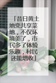 昔日黄土地变共享菜地，不仅环境美了，市民多了体验乐趣，村民还能增收