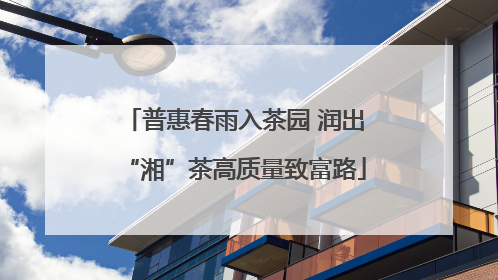 普惠春雨入茶园 润出“湘”茶高质量致富路