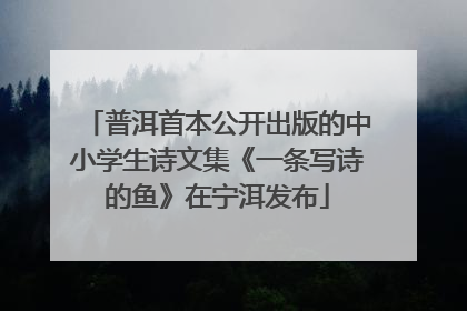 普洱首本公开出版的中小学生诗文集《一条写诗的鱼》在宁洱发布