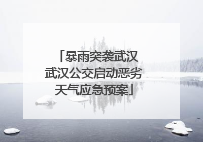 暴雨突袭武汉 武汉公交启动恶劣天气应急预案