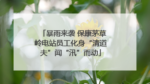 暴雨来袭 保康茅草岭电站员工化身“清道夫”闻“汛”而动