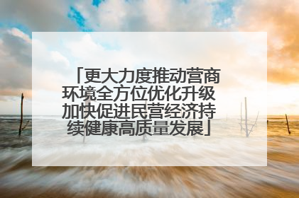 更大力度推动营商环境全方位优化升级加快促进民营经济持续健康高质量发展
