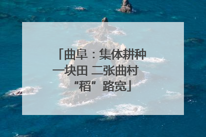 曲阜：集体耕种一块田 二张曲村“稻”路宽