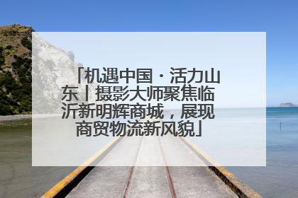 机遇中国・活力山东丨摄影大师聚焦临沂新明辉商城，展现商贸物流新风貌