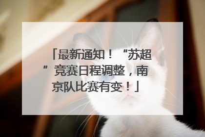 最新通知！“苏超”竞赛日程调整，南京队比赛有变！