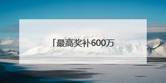 最高奖补600万元！厦门真金白银赋能会展业发展
