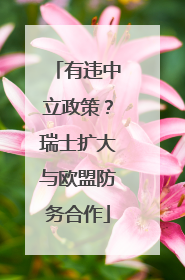 有违中立政策？瑞士扩大与欧盟防务合作