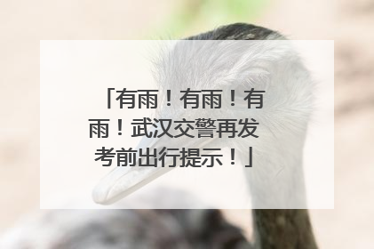 有雨！有雨！有雨！武汉交警再发考前出行提示！