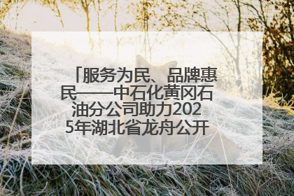 服务为民、品牌惠民——中石化黄冈石油分公司助力2025年湖北省龙舟公开赛（黄冈站）