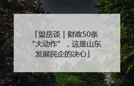望岳谈｜财政50条“大动作”，这是山东发展民企的决心
