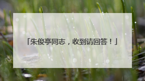 朱俊亭同志，收到请回答！