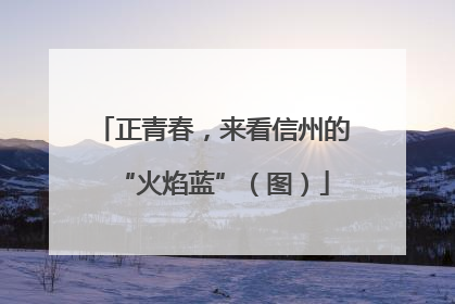 正青春，来看信州的“火焰蓝”（图）