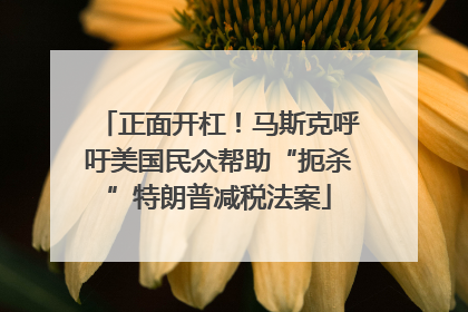 正面开杠！马斯克呼吁美国民众帮助“扼杀”特朗普减税法案