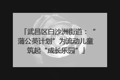 武昌区白沙洲街道：“蒲公英计划”为流动儿童筑起“成长乐园”