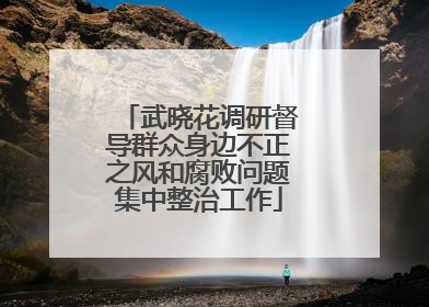 武晓花调研督导群众身边不正之风和腐败问题集中整治工作