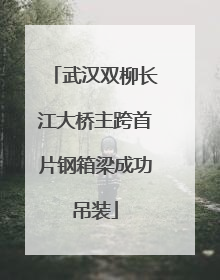 武汉双柳长江大桥主跨首片钢箱梁成功吊装