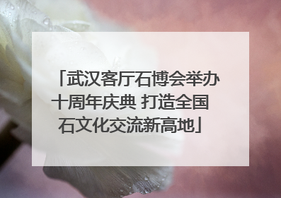武汉客厅石博会举办十周年庆典 打造全国石文化交流新高地