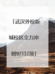 武汉外校新城校区全力冲刺9月封顶