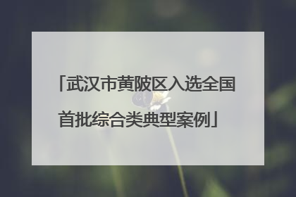 武汉市黄陂区入选全国首批综合类典型案例