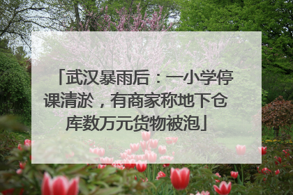 武汉暴雨后：一小学停课清淤，有商家称地下仓库数万元货物被泡