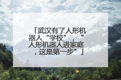 武汉有了人形机器人“学校”，“人形机器人进家庭，这是第一步”