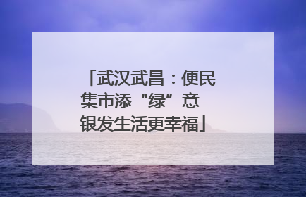 武汉武昌：便民集市添“绿”意 银发生活更幸福