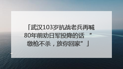 武汉103岁抗战老兵再喊80年前劝日军投降的话 “缴枪不杀，放你回家”