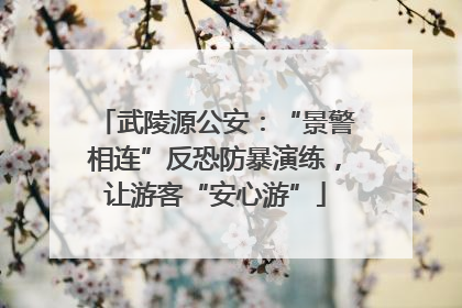 武陵源公安：“景警相连”反恐防暴演练，让游客“安心游”