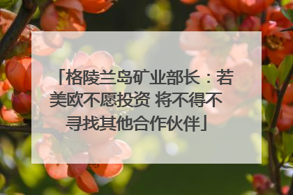 格陵兰岛矿业部长：若美欧不愿投资 将不得不寻找其他合作伙伴