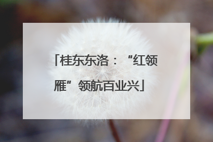 桂东东洛：“红领雁”领航百业兴