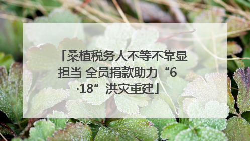 桑植税务人不等不靠显担当 全员捐款助力“6·18”洪灾重建
