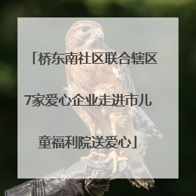 桥东南社区联合辖区7家爱心企业走进市儿童福利院送爱心