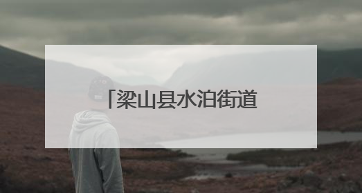 梁山县水泊街道为民服务中心开展惠民政策宣传