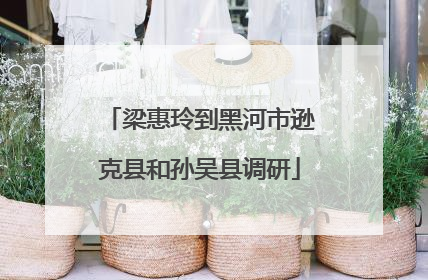 梁惠玲到黑河市逊克县和孙吴县调研
