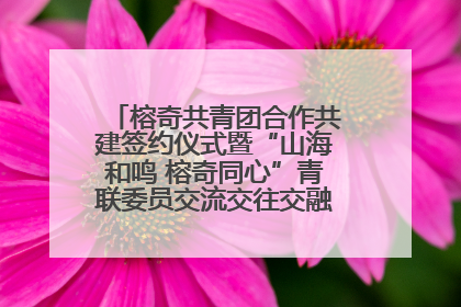 榕奇共青团合作共建签约仪式暨“山海和鸣 榕奇同心”青联委员交流交往交融活动在福州举行