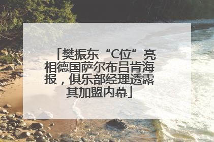 樊振东“C位”亮相德国萨尔布吕肯海报，俱乐部经理透露其加盟内幕