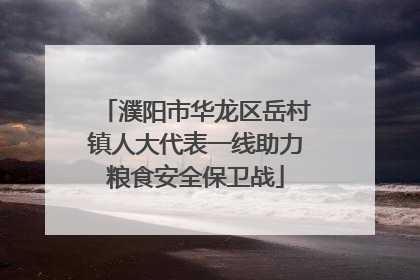 濮阳市华龙区岳村镇人大代表一线助力粮食安全保卫战