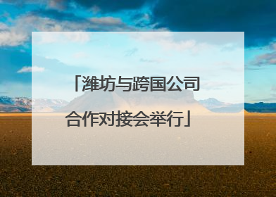 潍坊与跨国公司合作对接会举行