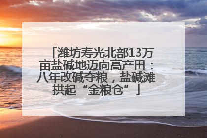 潍坊寿光北部13万亩盐碱地迈向高产田：八年改碱夺粮，盐碱滩拱起“金粮仓”