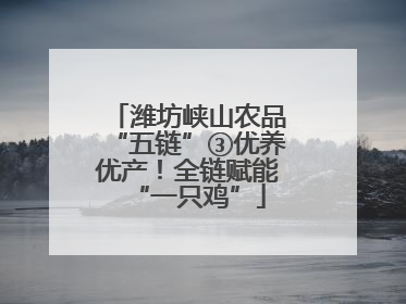 潍坊峡山农品“五链”③优养优产！全链赋能“一只鸡”