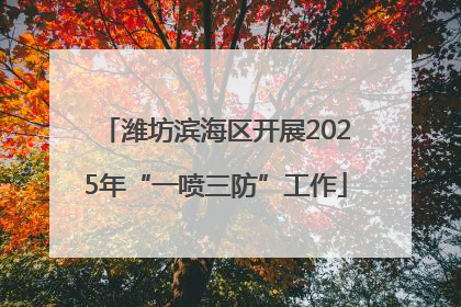 潍坊滨海区开展2025年“一喷三防”工作