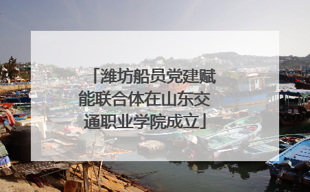 潍坊船员党建赋能联合体在山东交通职业学院成立