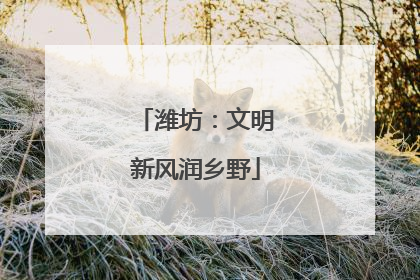 潍坊：文明新风润乡野