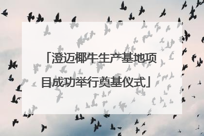 澄迈椰牛生产基地项目成功举行奠基仪式