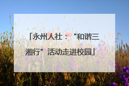 永州人社：“和谐三湘行”活动走进校园