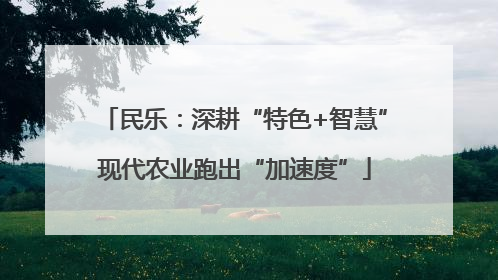 民乐：深耕“特色+智慧”现代农业跑出“加速度”