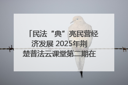 民法“典”亮民营经济发展 2025年荆楚普法云课堂第二期在武汉客厅开讲