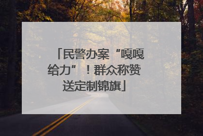 民警办案“嘎嘎给力”！群众称赞送定制锦旗